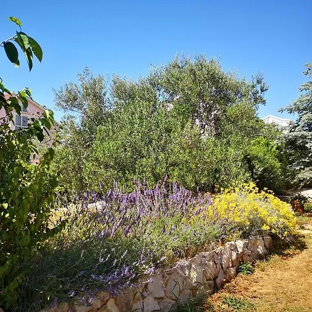 Double Diklo 13987a 3* Zadar